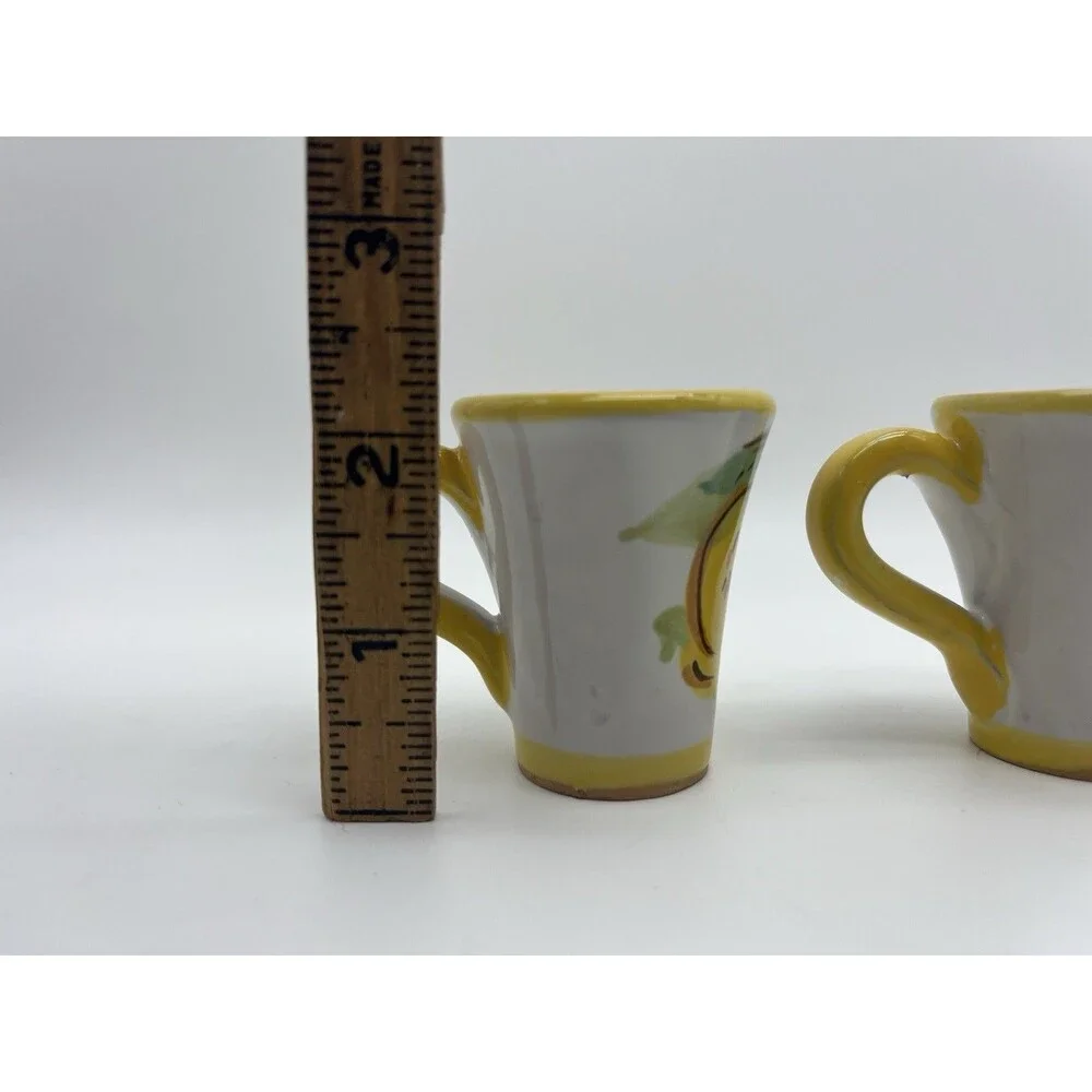 Ravello Hand Painted Ceramic Shot Mug/Glasses Fruit Yellow Set of 2 2.5in
